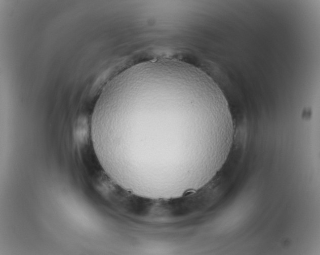 X0000113220335200910011351