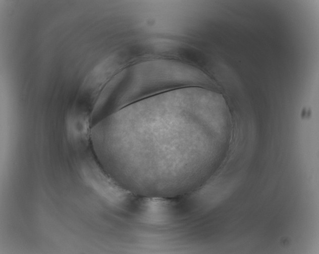 X0000113220336200910011351