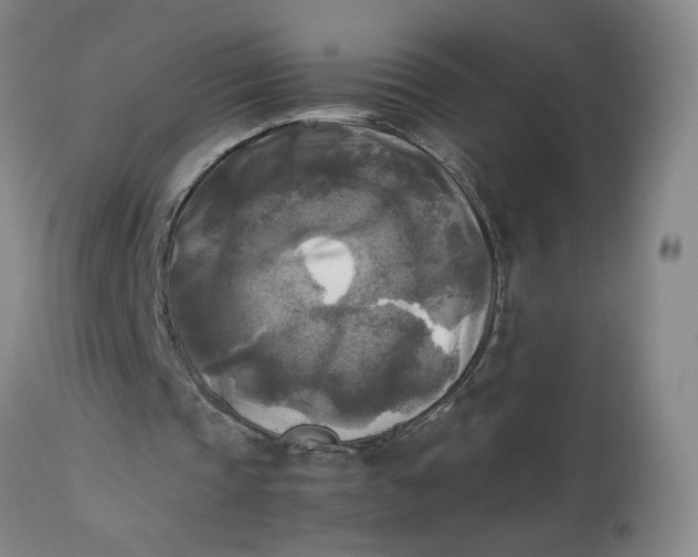 X0000113220337200910011350