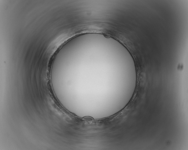 X0000113220338200910011350