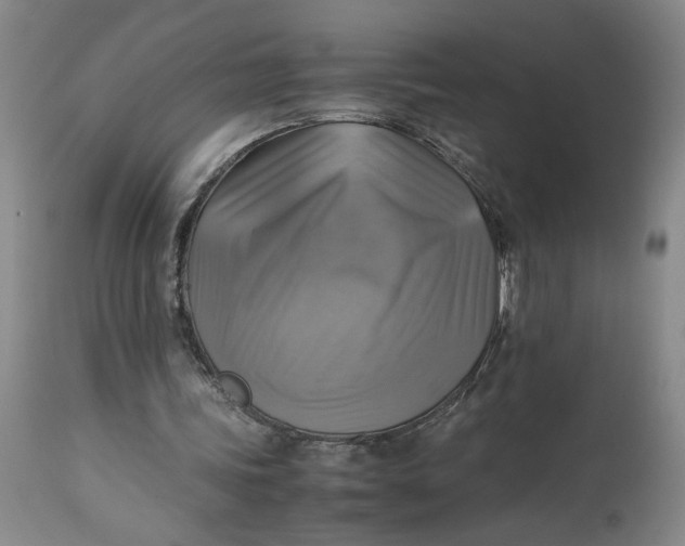 X0000113220339200910011350