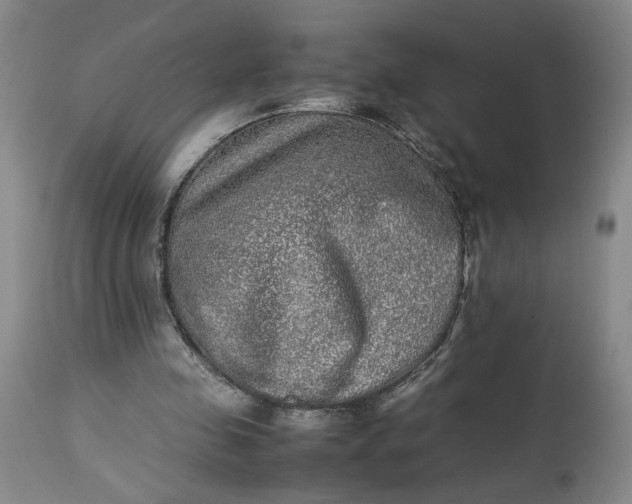 X0000113220341200910011350