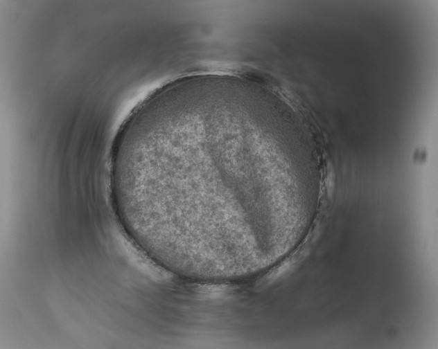 X0000113220342200910011350