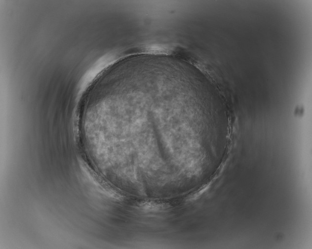 X0000113220343200910011350