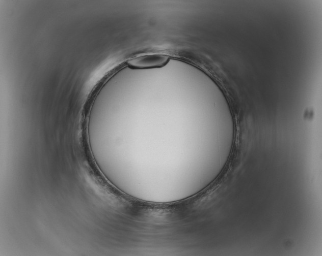 X0000113220344200910011350