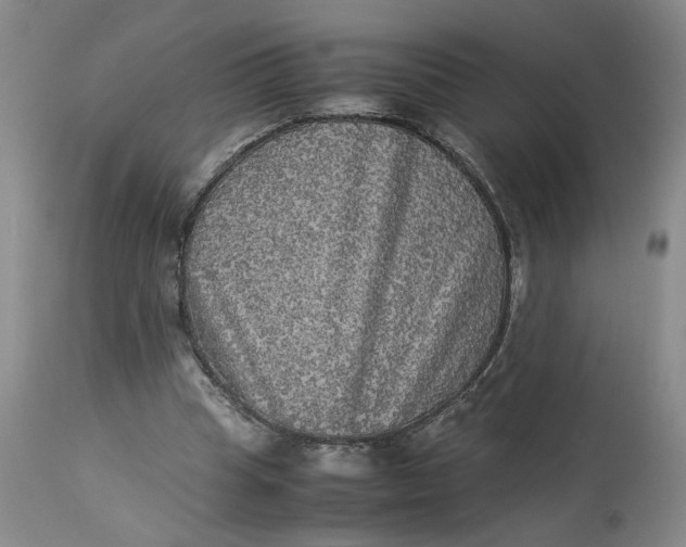 X0000113220345200910011350