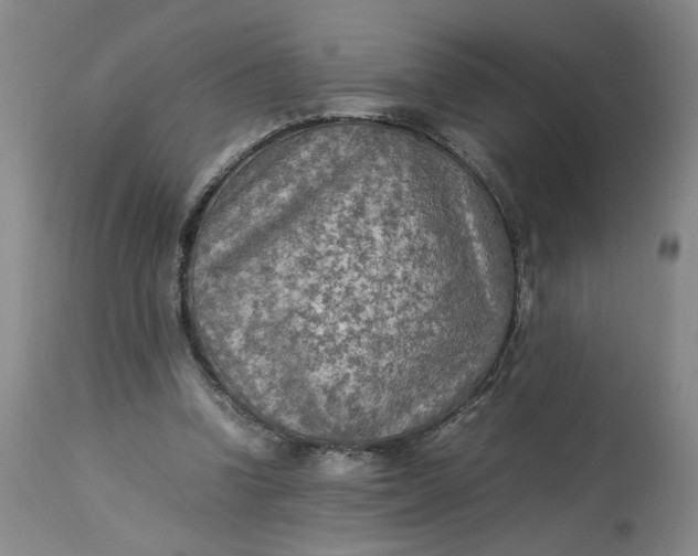 X0000113220346200910011350