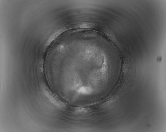 X0000113220347200910011351