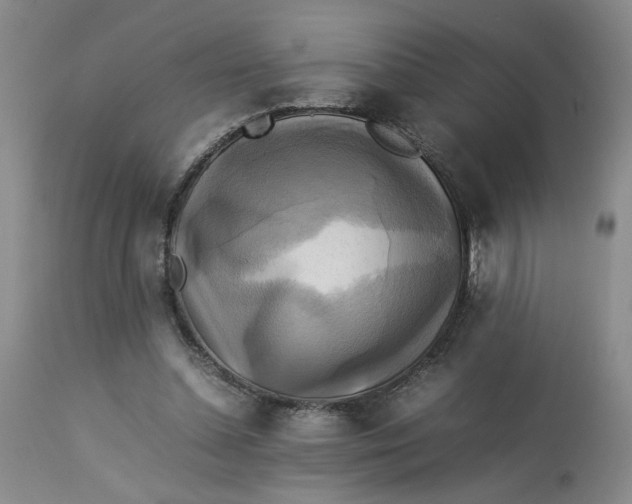 X0000113220348200910011351