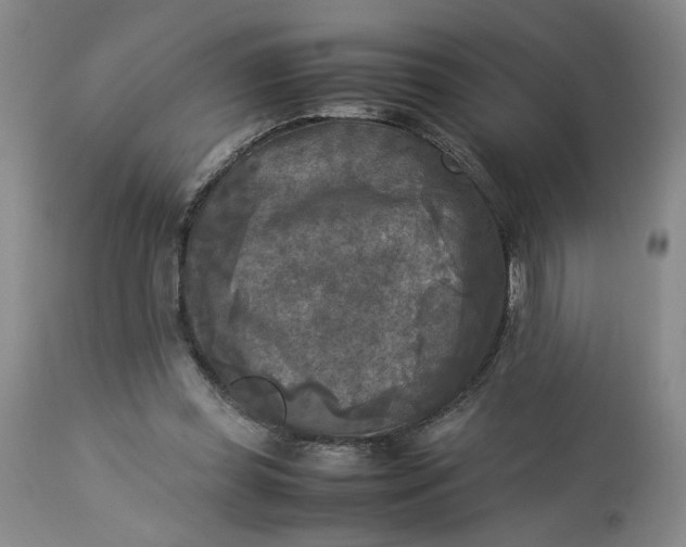 X0000113220349200910011351