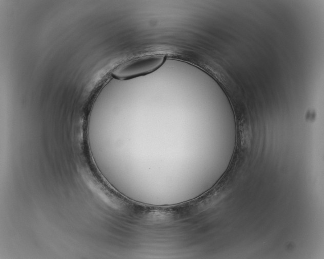 X0000113220350200910011351