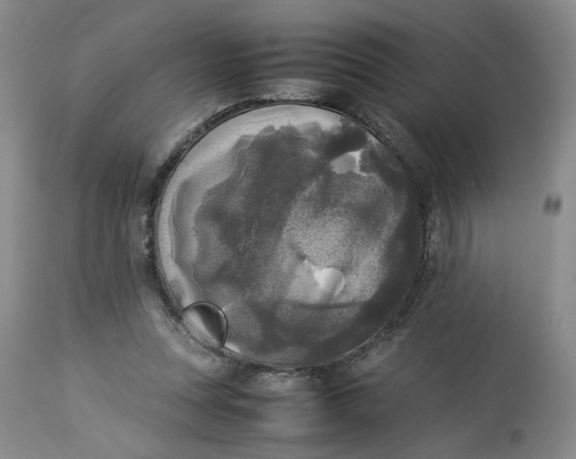 X0000113220351200910011351