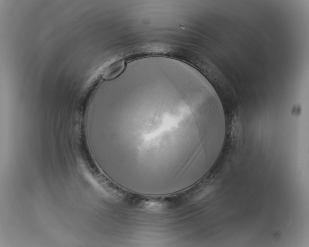 X0000113220352200910011351