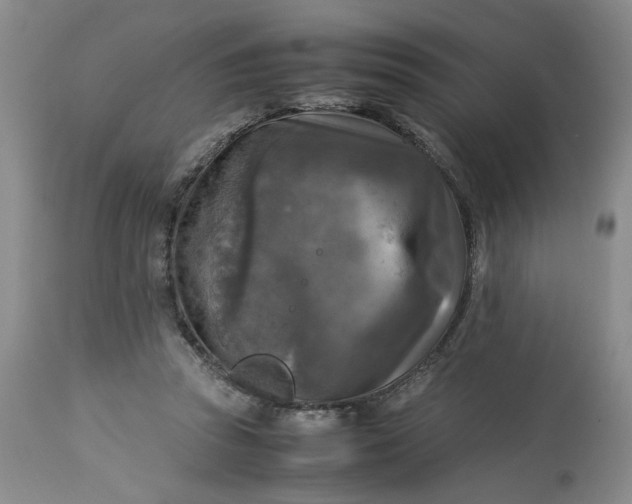 X0000113220353200910011351