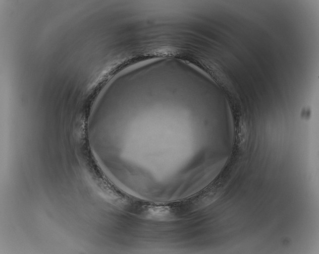 X0000113220355200910011351