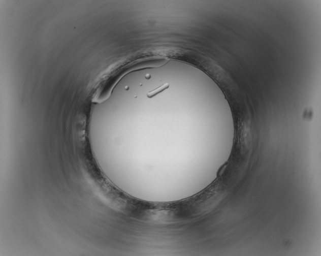 X0000113220356200910011351