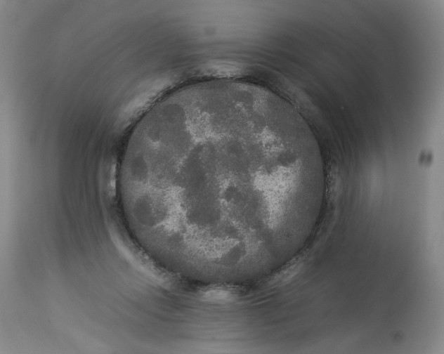 X0000113220358200910011351