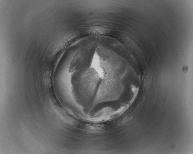 X0000113220359200910011351