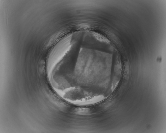 X0000113220361200910011351