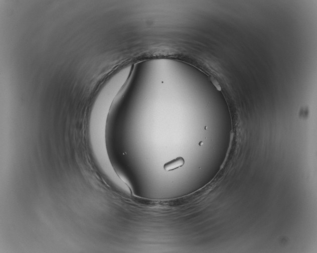 X0000113220362200910011351