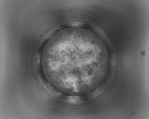 X0000113220363200910011351