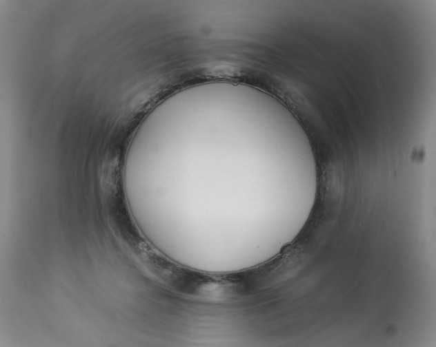 X0000113220364200910011351