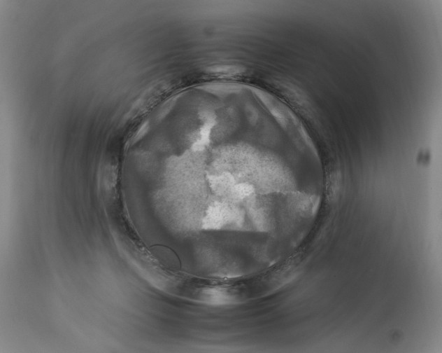 X0000113220365200910011351