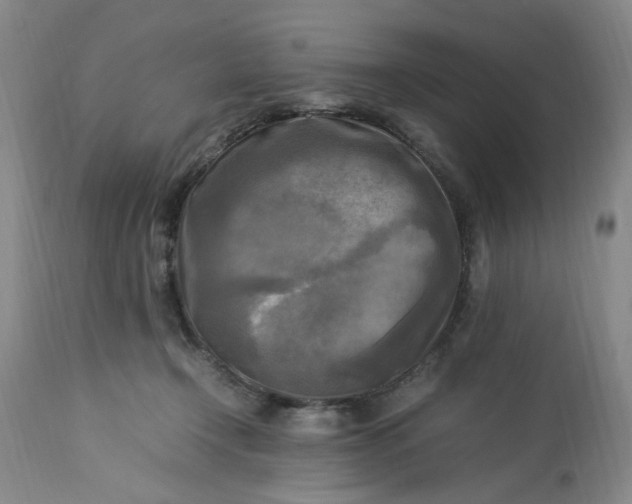 X0000113220366200910011351