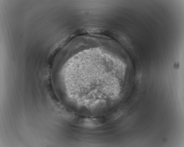 X0000113220367200910011351