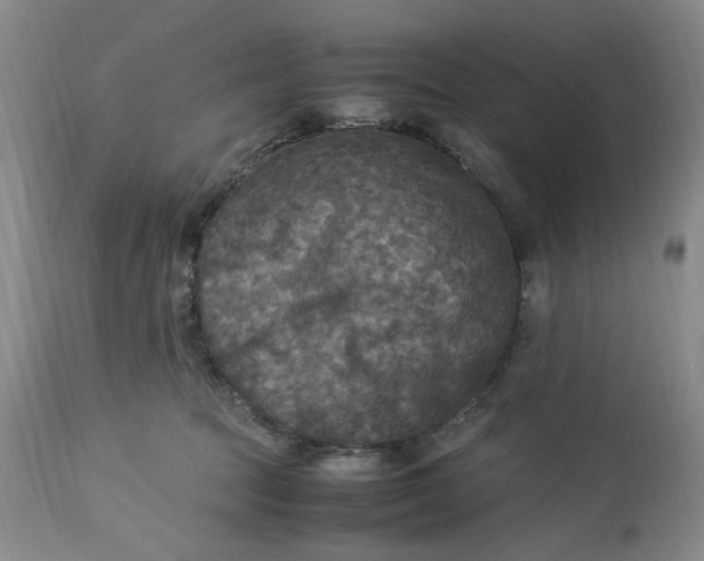 X0000113220369200910011351