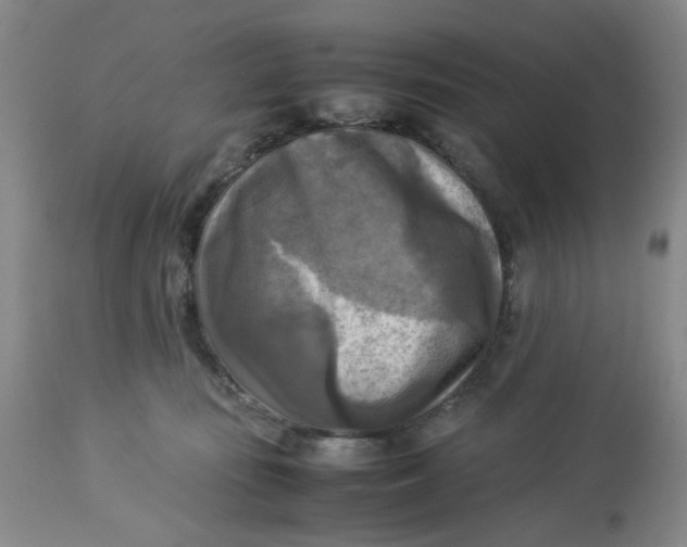 X0000113220371200910011351