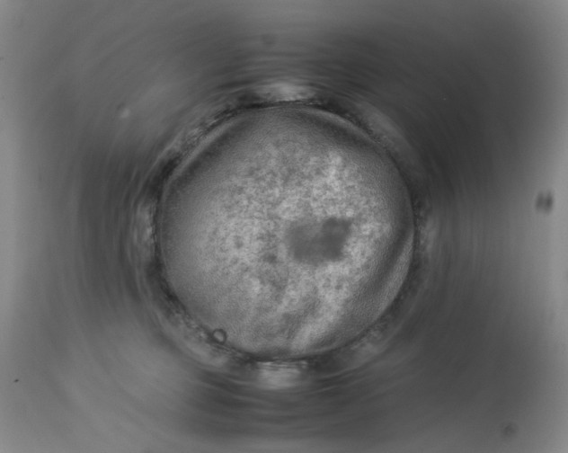 X0000113220373200910011351