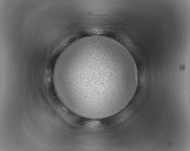 X0000113220374200910011351