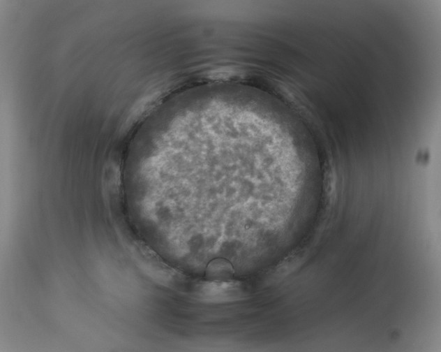 X0000113220375200910011351