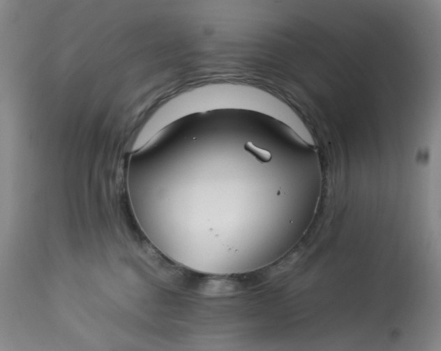 X0000113220376200910011351