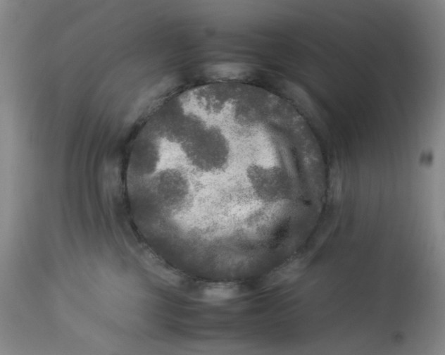 X0000113220377200910011351