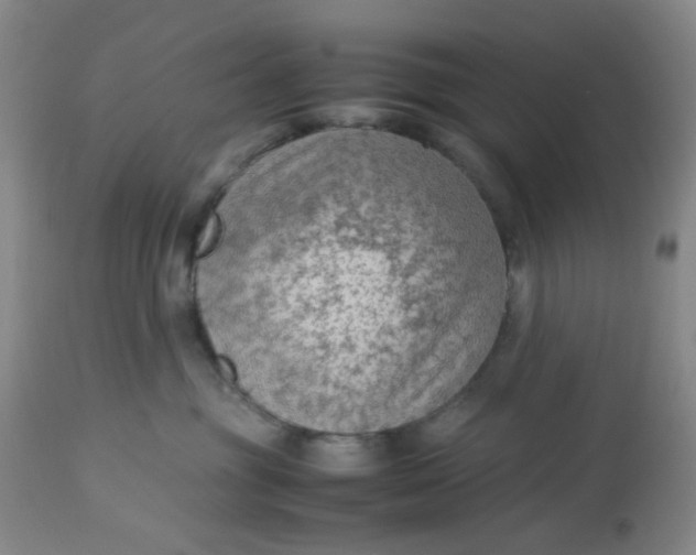 X0000113220381200910011351