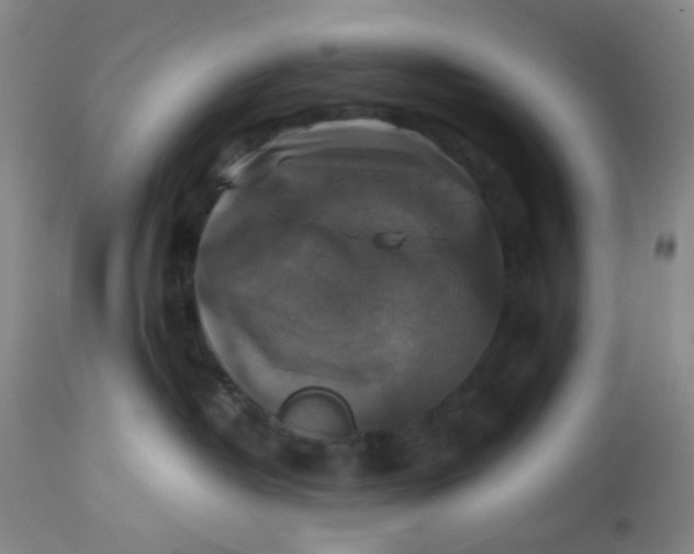 X0000113220382200910011351