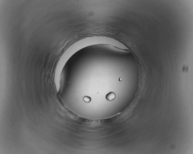 X0000113220384200910011351