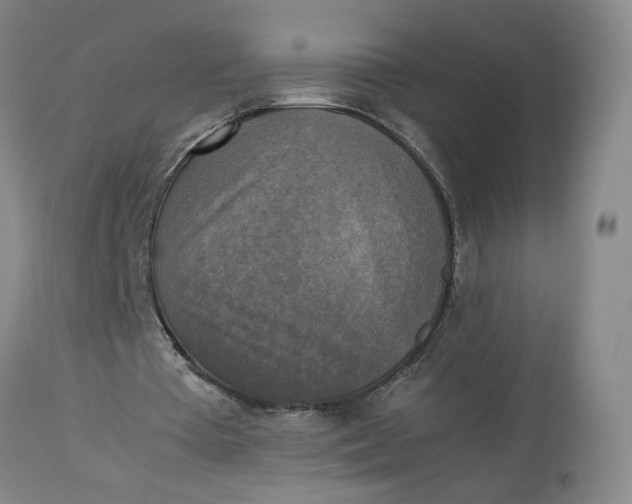 X0000113220385200910011350