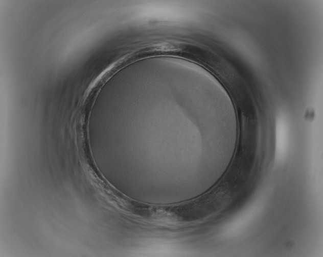 X0000113220387200910011350