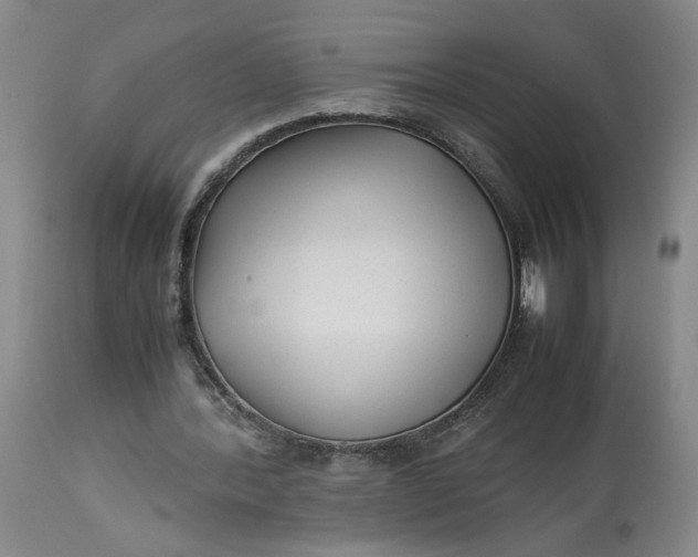 X0000113220388200910011350