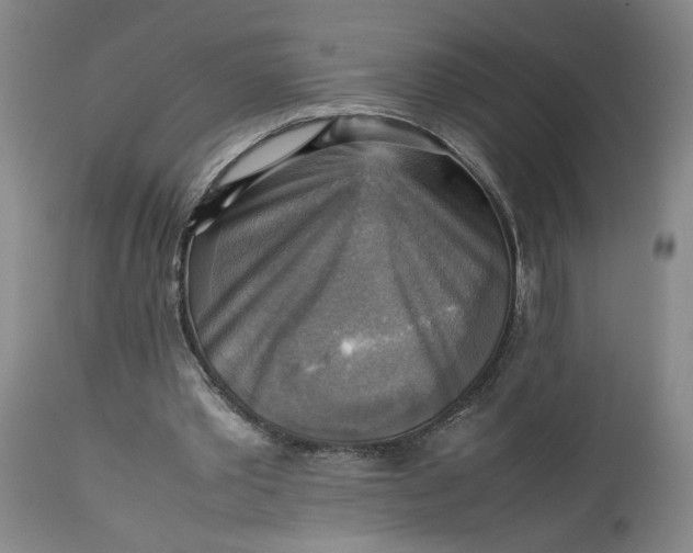 X0000113220389200910011350