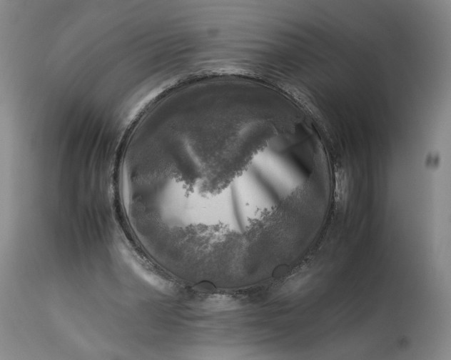 X0000113220390200910011350