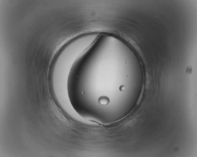 X0000113220391200910011350