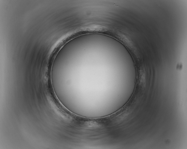 X0000113220392200910011350