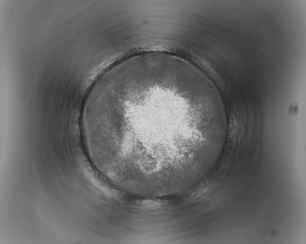 X0000113220394200910011350