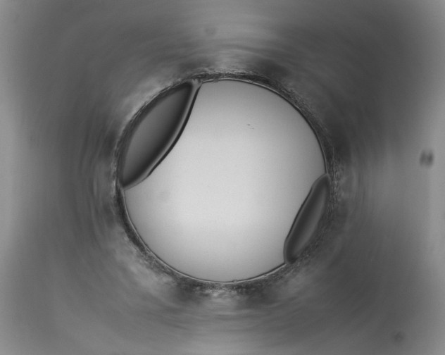 X0000113220395200910011350