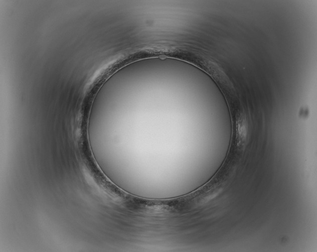 X0000113220396200910011350