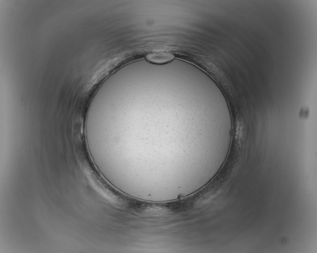 X0000113220397200910011350